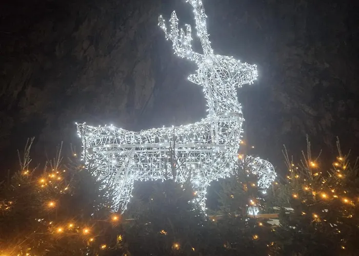 In The Heart Of Apartment *